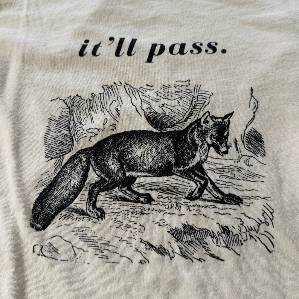 It'll Pass Fox Graphic TShirt Tee Indie Cottagecore Bella Canvas Natural Medium